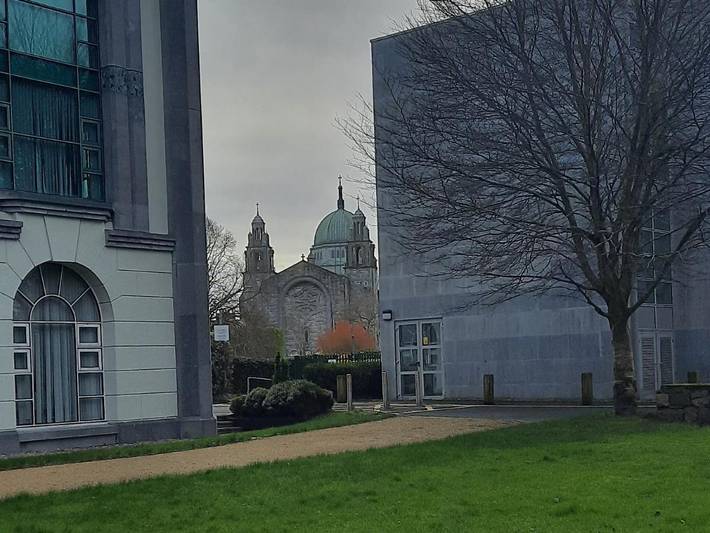Maison d’hôte pour 3 personnes, avec terrasse et jardin à Galway - 4