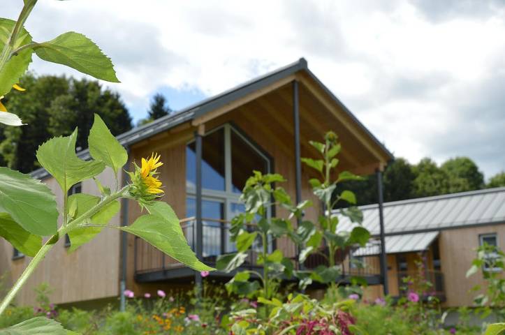 Ferienhaus für 4 Personen, mit Garten und Balkon sowie Sauna, kinderfreundlich in Dreiländereck (D-A-CZ) - 2