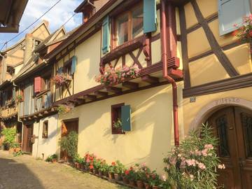 Gîte pour 6 personnes, avec jardin et vue, animaux acceptés à Eguisheim