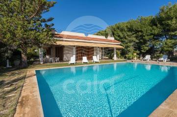 Villa pour 12 personnes, avec jardin ainsi que piscine et vue à Porto Cesareo