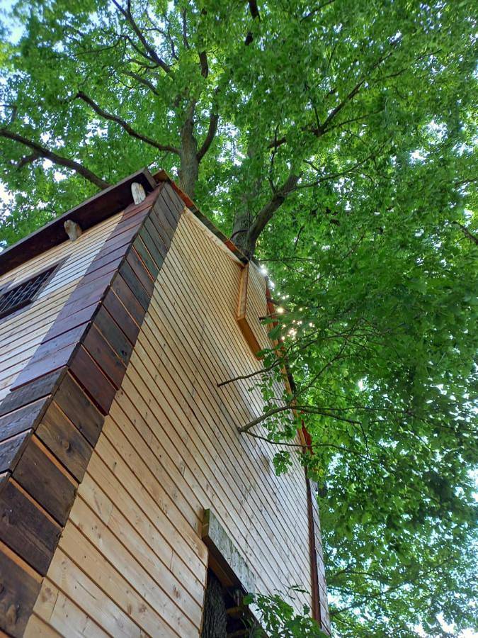 One-Bedroom Chalet in Villebon-sur-Yvette, Essonne