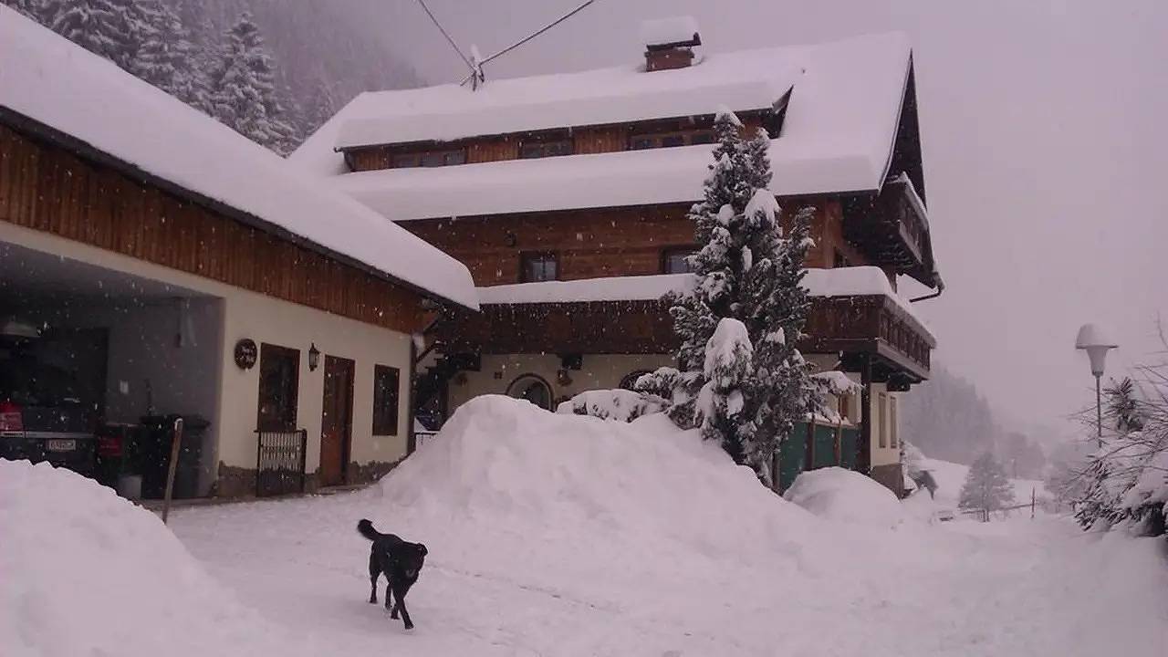 Geheel vakantieappartement, Ferienwohnung für 6 Personen (80 m²) in Feld am See in Feld am See, Villach-Land