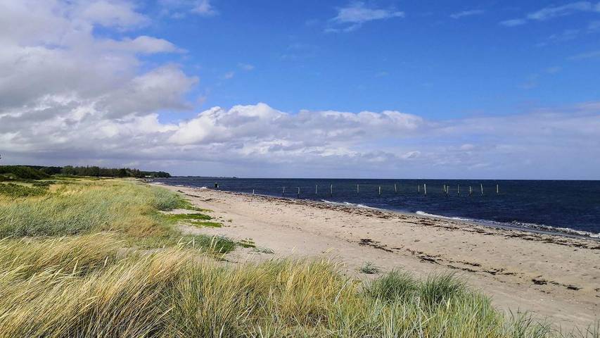 Ferienhaus mit Meerblick für 11 Personen, mit Terrasse und Sauna sowie Whirlpool, mit Haustier auf Langeland - 2