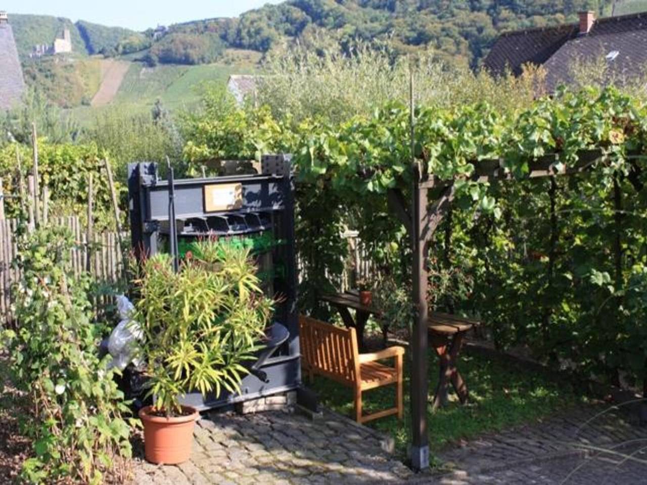 Ganze Ferienwohnung, Am Weinberg - Ferienwohnung Gisela Mendgen - 2-Bettwohnung in Bernkastel-Kues, Bernkastel-Kues & Umgebung