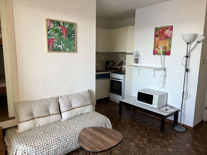 Gîte pour 4 personnes, avec terrasse, animaux acceptés dans Port du Cap d'Agde - 4