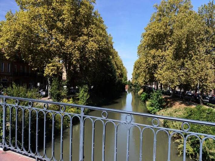 Gîte pour 4 personnes, animaux acceptés à Toulouse - 4