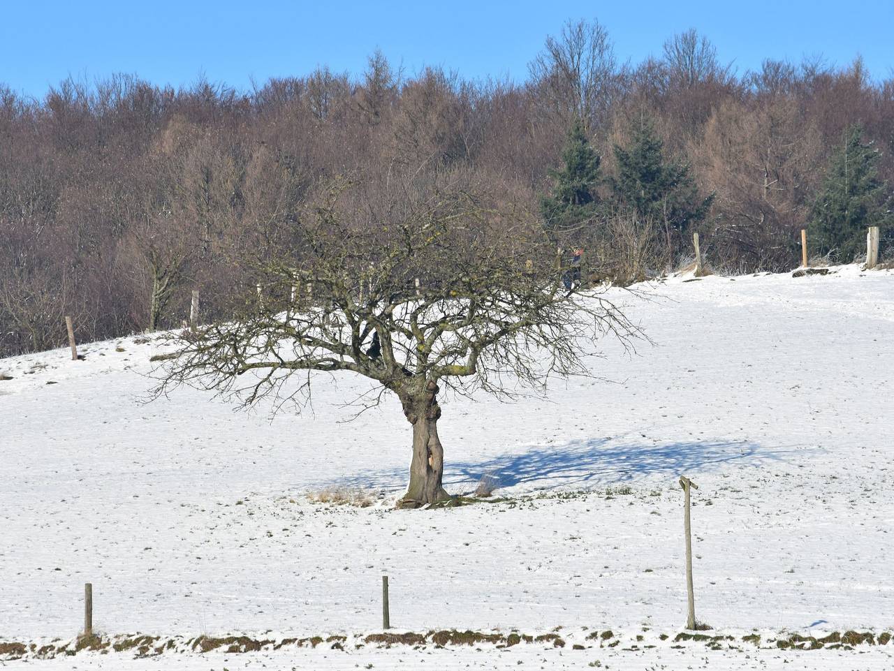 Ferienbauernhof Brandt - Ferienwohnung 1 in Modautal, Südhessen