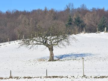 Bauernhaus für 4 Personen in Modautal, Odenwald, Bild 2