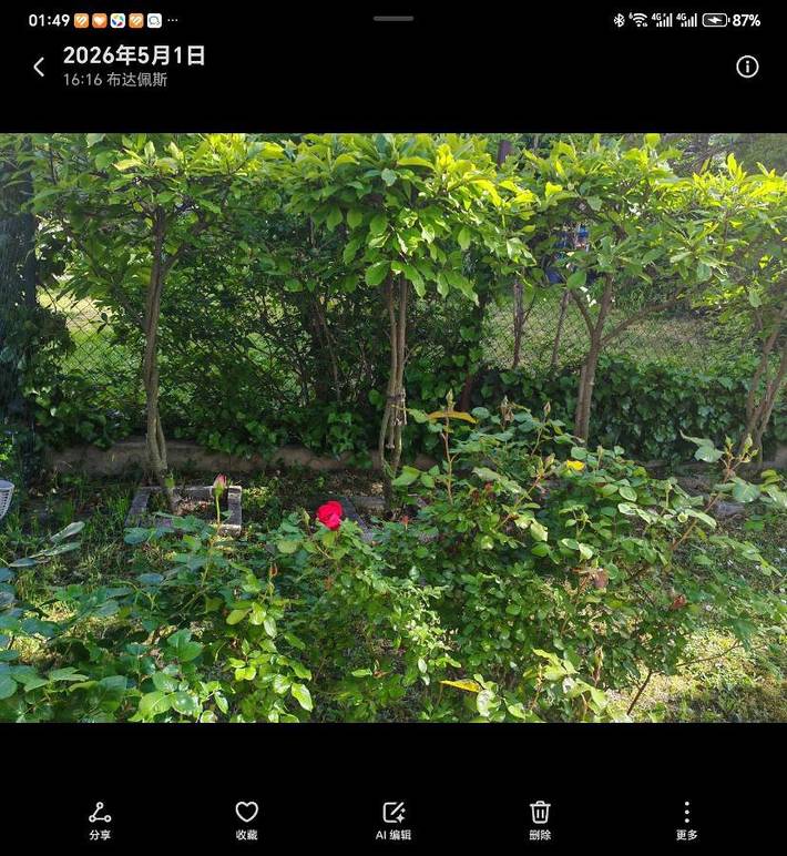 Villa pour 10 personnes, avec jacuzzi et balcon à Budapest - 3
