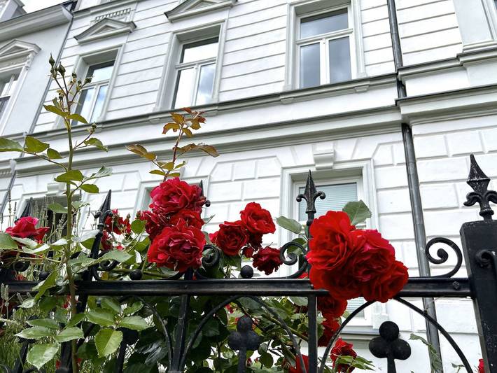 Ferienwohnung für 6 Personen, mit Seeblick und Terrasse, kinderfreundlich beim Ozeaneum Stralsund