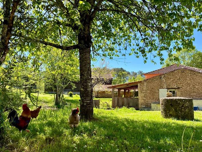 Gîte pour 4 personnes, avec vue et jardin, animaux acceptés à Capdrot - 4