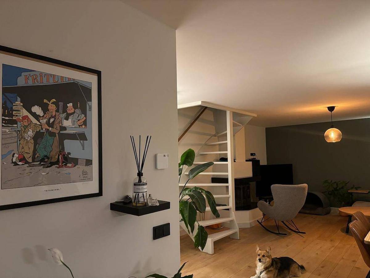 Appartement entier, Experience Zaandam mills & Amsterdam city vibes in Zaandam, Côte hollandaise
