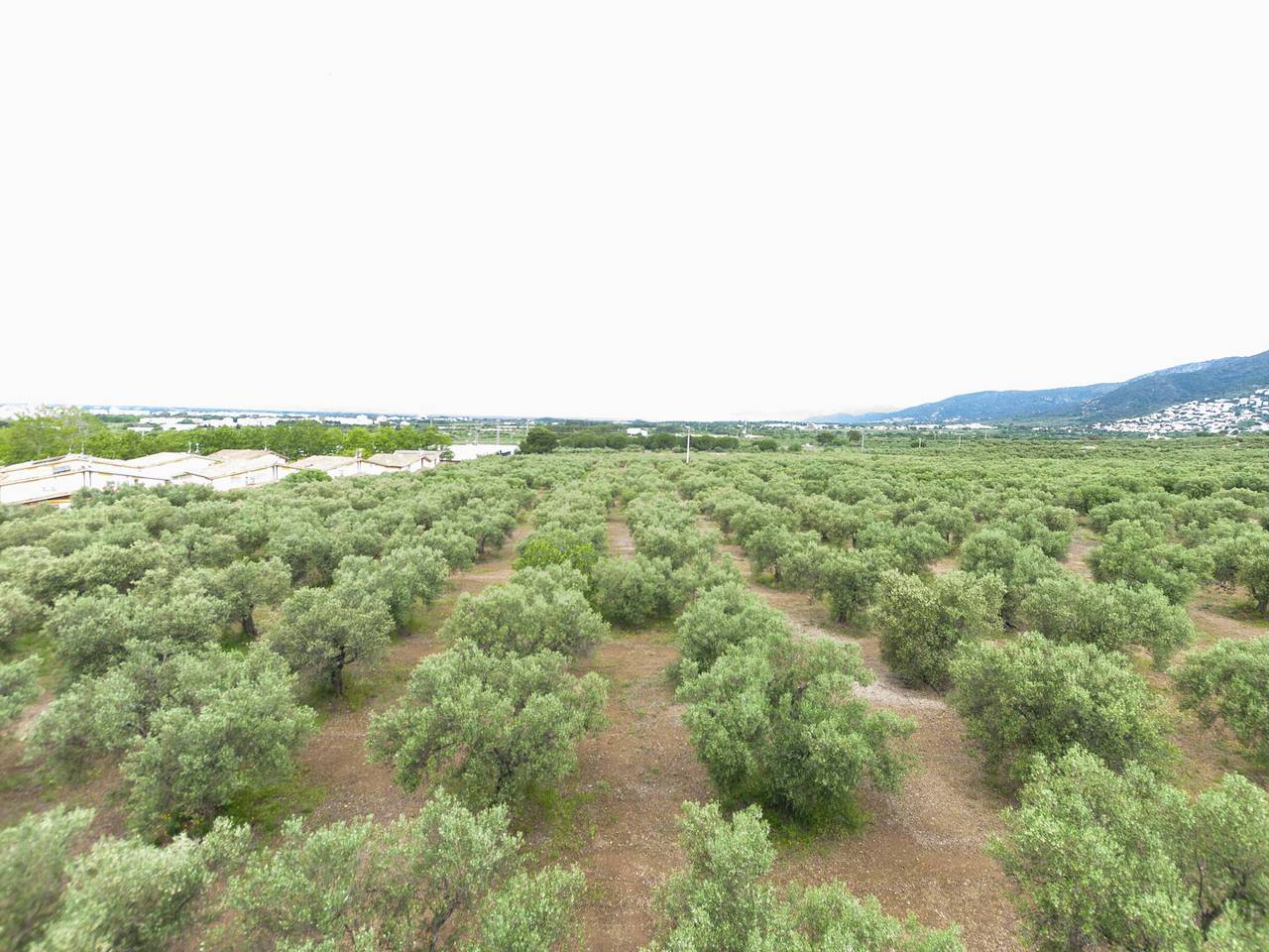 Appartamento intero, Bright apartment with pool and parking in Roses in Roses, Upper Empordà