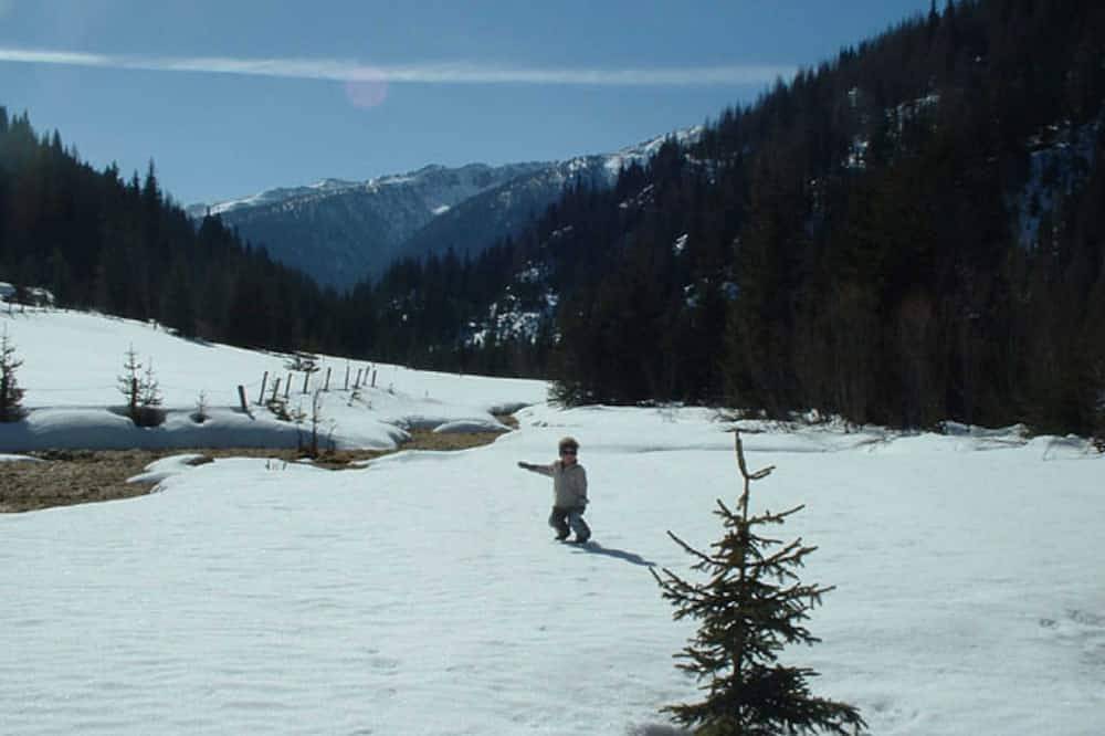 Ganze Wohnung, Ferienwohnung Daniela Mair - Ferienwohnung Berg 1 in Villgratner Berge, Innervillgraten