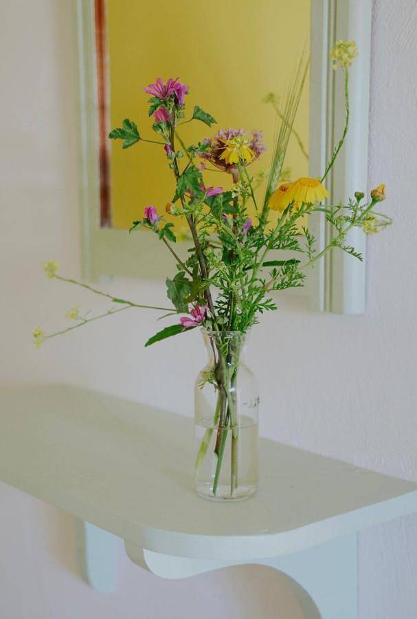 Chambre d’hôte pour 2 personnes, avec jardin et vue dans Cos - 3
