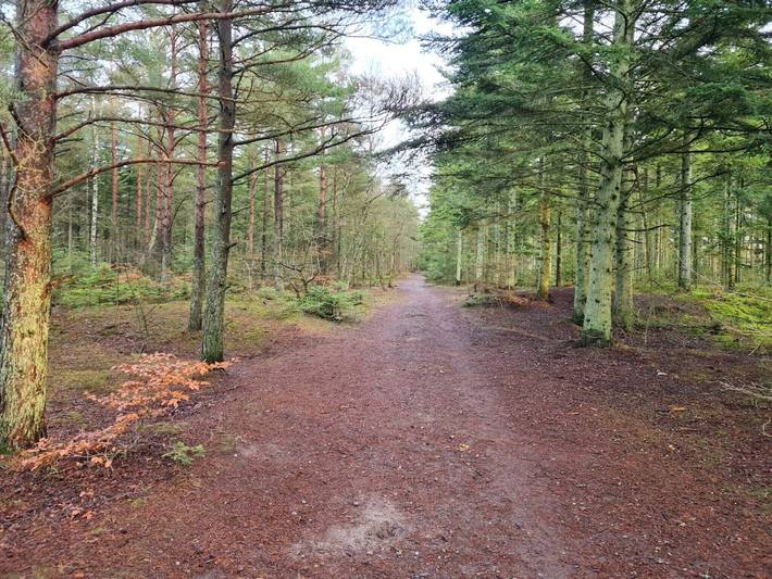 Ferienhaus für 4 Personen, mit Terrasse und Sauna sowie Whirlpool, kinderfreundlich in Aalbæk - 3