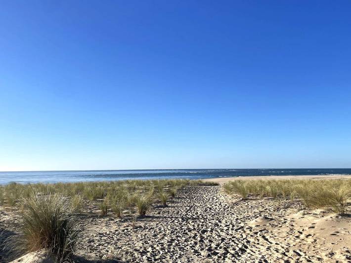 Villa pour 6 personnes, avec terrasse, animaux acceptés au Cap Ferret - 4