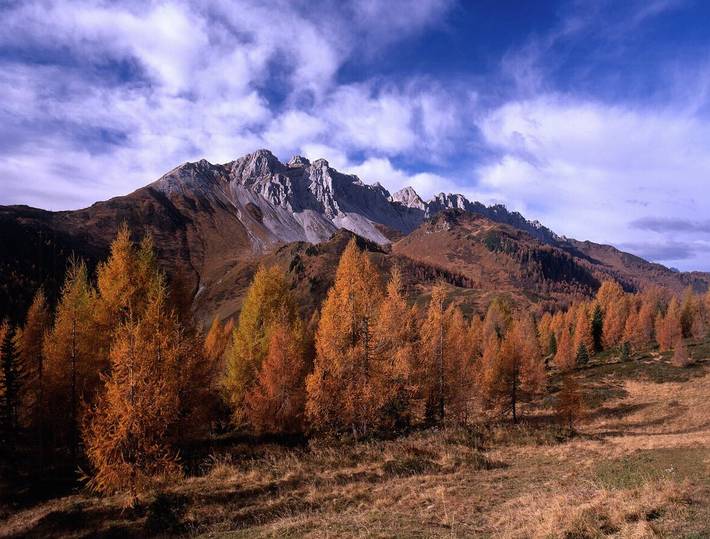 Ganze Wohnung, Dachgeschosswohnung in den Karnischen Dolomiten in Sauris di Sopra in Zahre, Südliche Karnische Alpen