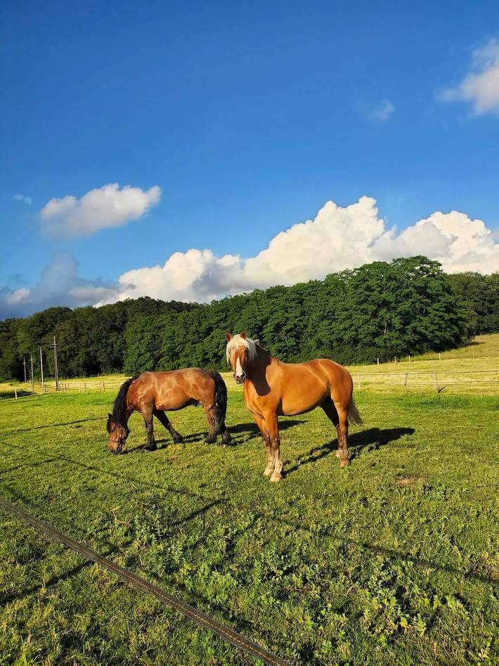 Appartement de vacances pour 2 personnes dans Yonne - 2
