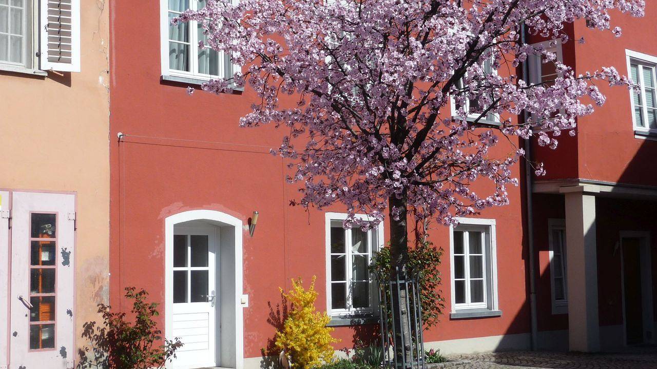 Ganze Ferienwohnung, Ferienwohnung für 2 Personen (40 m²) in Lindau in Lindau, Bayerisch Schwaben