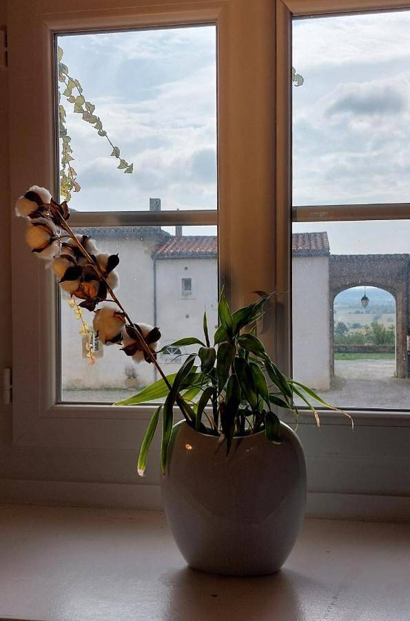 Gîte pour 5 personnes, avec jardin et piscine, animaux acceptés à Airoux - 4