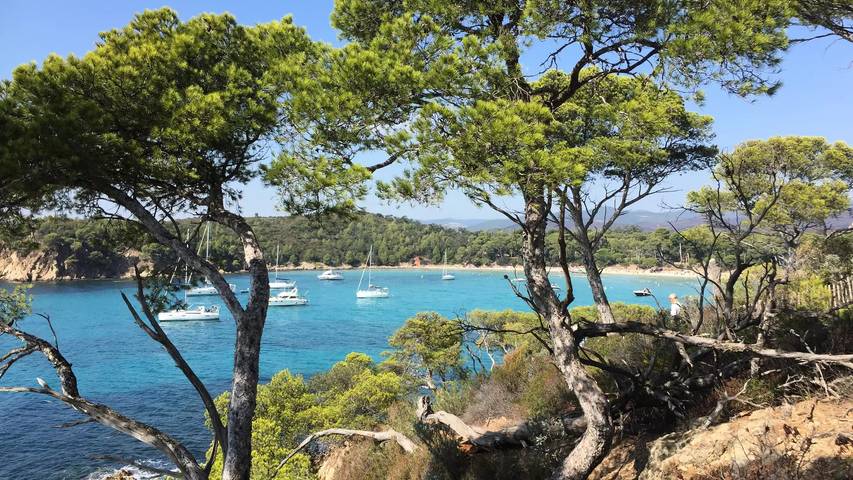 Camping pour 6 personnes, avec sauna ainsi que terrasse et piscine à Bormes-les-Mimosas - 3