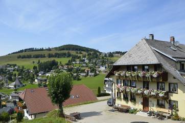 Hütte für 4 Personen in Todtnau, Hochschwarzwald, Bild 2