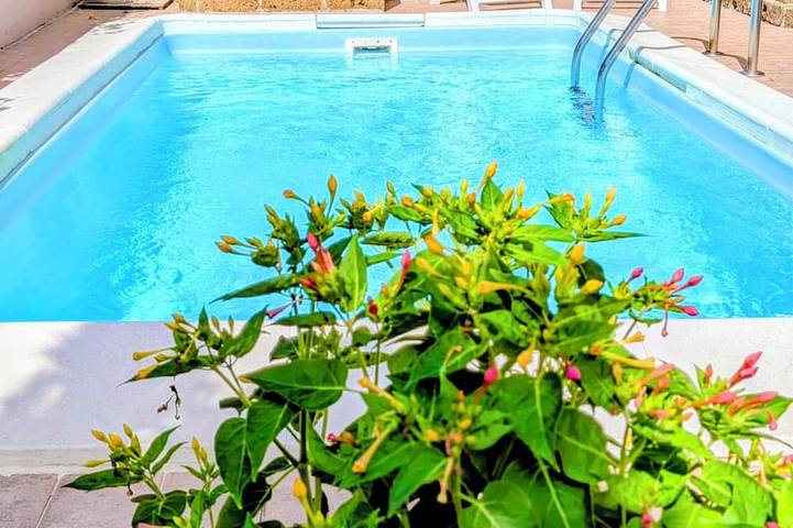 Maison de vacances pour 4 personnes, avec jardin, animaux acceptés - 1