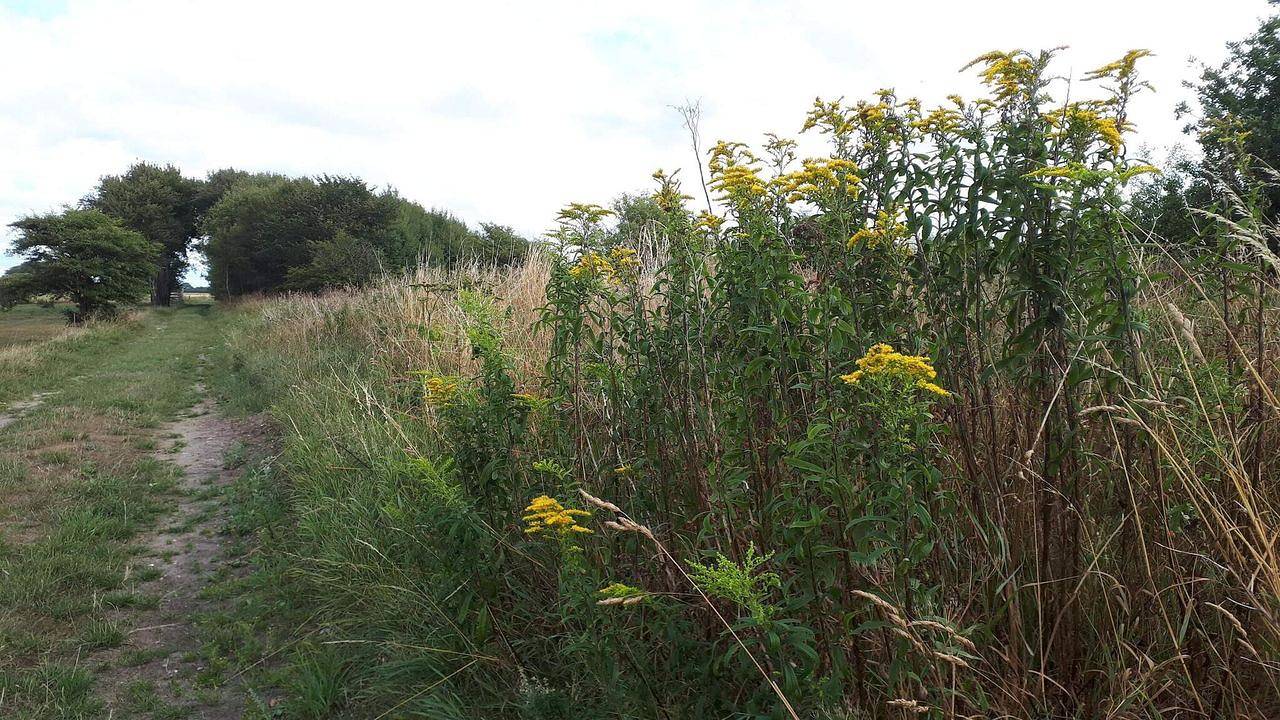 Ferienhaus für 6 Personen (80 m²) in Bredebro in Bredebro, Tondern und Umgebung