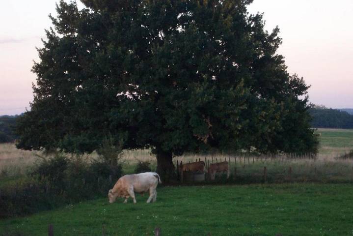 Gîte pour 2 personnes, avec vue ainsi que jardin et terrasse, animaux acceptés à Saint-Boil - 4