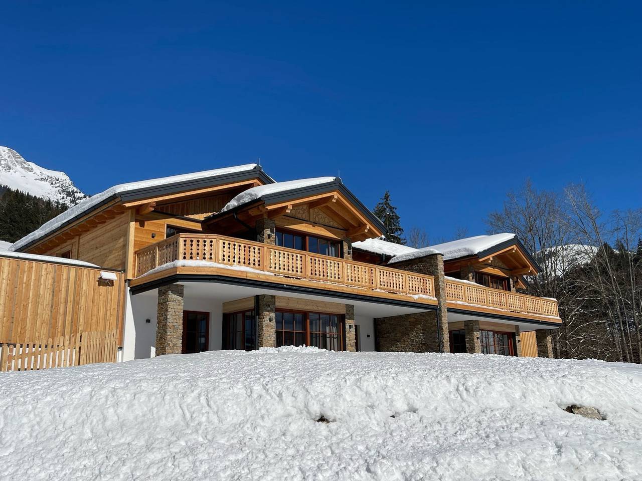 Ganze Wohnung, Dachstein Chalet Haus a in Salzkammergut-Berge, Rußbach am Paß Gschütt