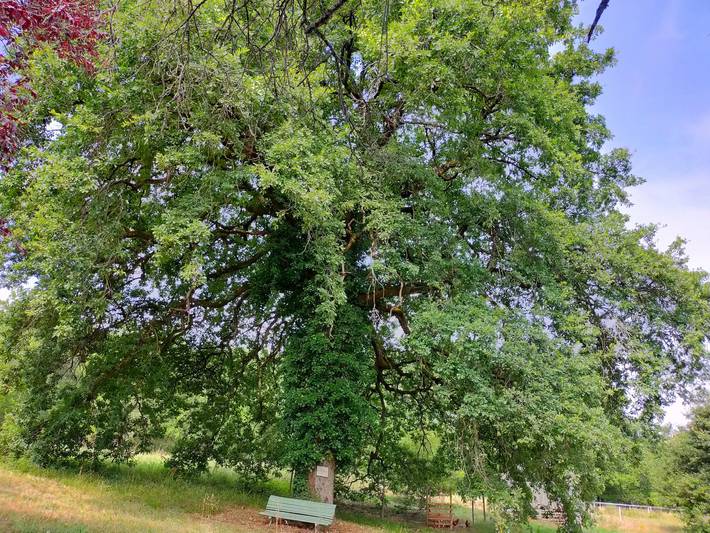 Chambre d’hôte pour 2 personnes, avec Jardin dans le Lot-et-Garonne - 4