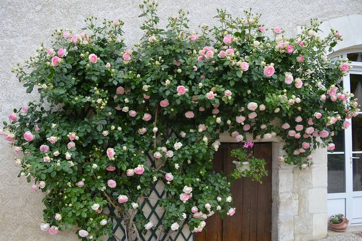 Location de vacances pour 2 personnes, avec jardin en Bourgogne - 4