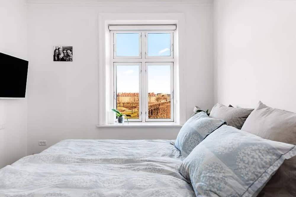 Entire apartment, Heart of Copenhagen - view to Kings Garden & access to Rooftop - total renovated in Copenhagen City, Copenhagen
