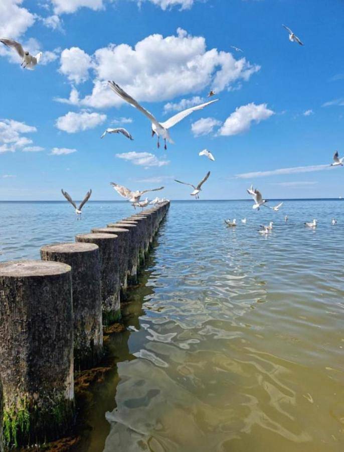 Ferienwohnung für 2 Personen, mit Ausblick und Terrasse in Rewal - 3