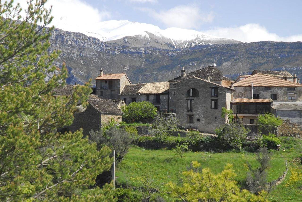 O Chardinet d'a Formiga in Charo, La Fueva