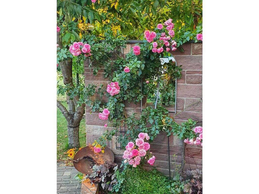 Am Park Komfortable Ferienresidenz in Petersberg, Rhön-Hessen