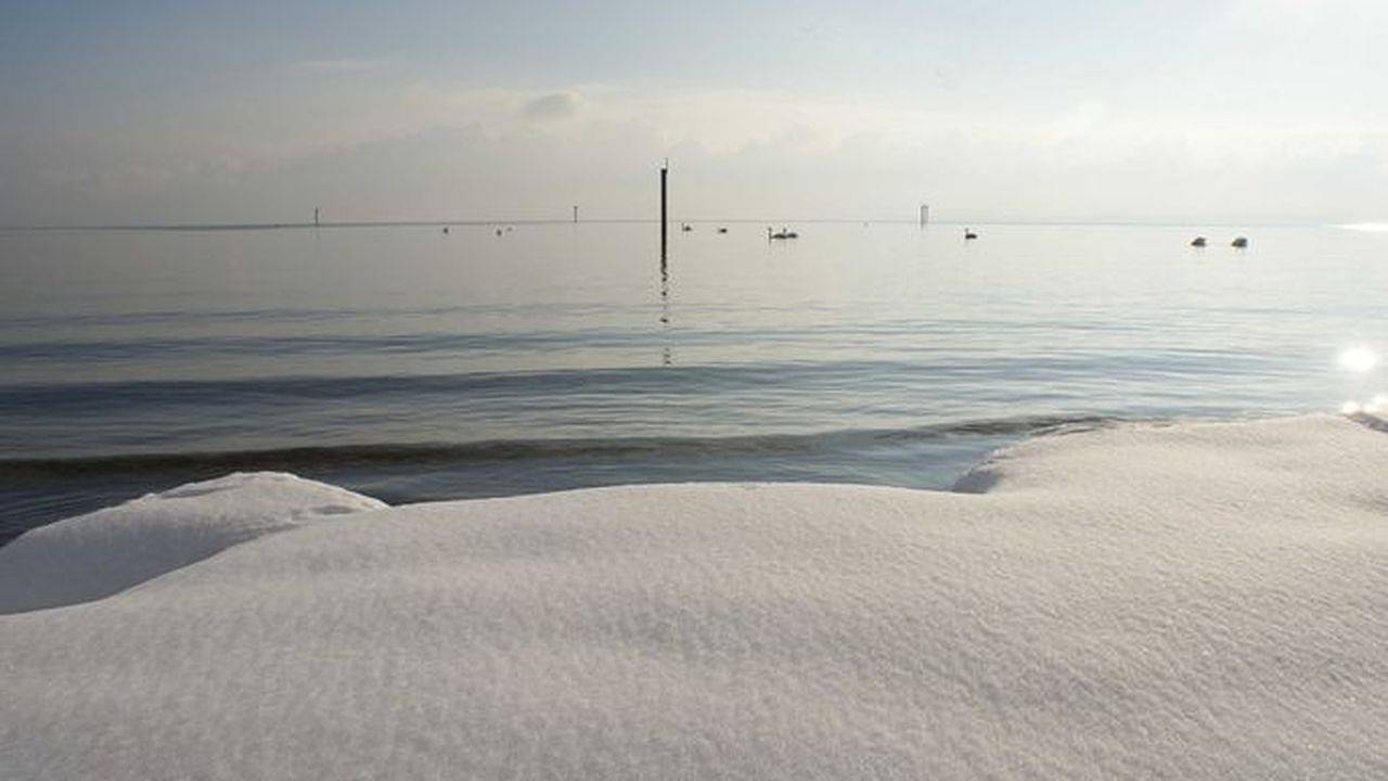 Ganze Ferienwohnung, Ferienwohnung für 4 Personen in Friedrichshafen in Friedrichshafen, Region Bodensee-Oberschwaben