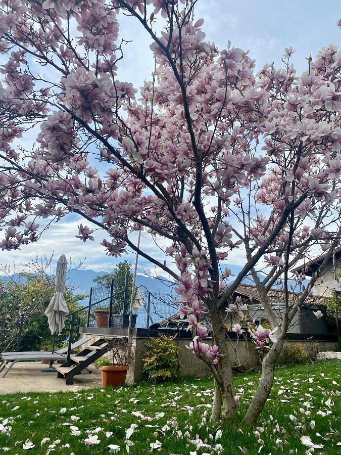 Location de vacances pour 2 personnes, avec vue ainsi que jardin et terrasse à Malcesine - 4