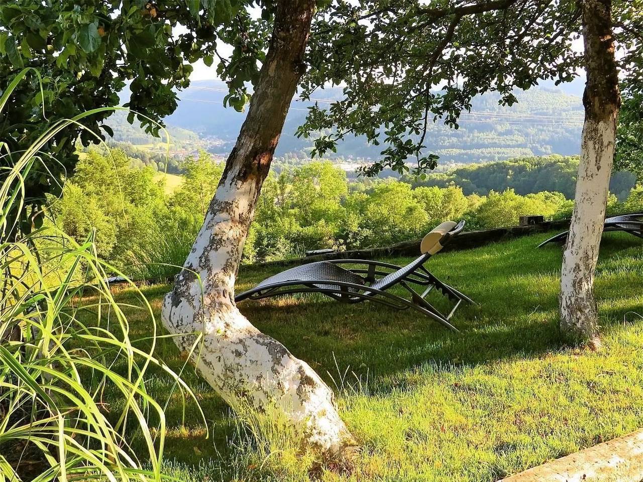 Maison 9 Personnes in Fraize, Regionaler Naturpark Belchen der Vogesen