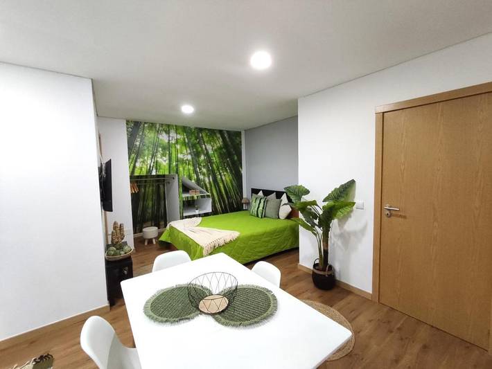 Apartamento de férias para 2 pessoas, com animais de estimação em Guarda