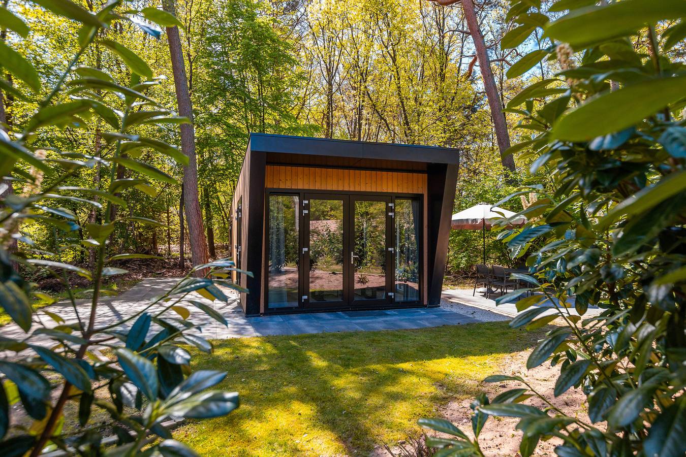 Vakantiepark De Wiltzangh — Heideborg Lodge | 4 Personen in Nationalpark Dwingelderveld