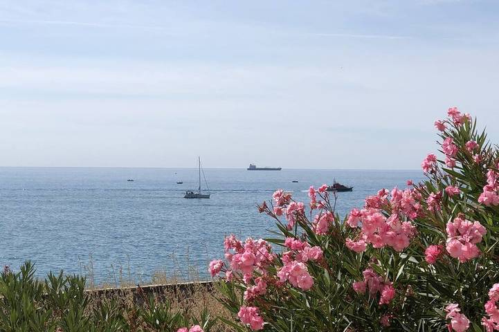 Gîte pour 6 personnes, avec balcon et piscine, animaux acceptés dans Port de Sète