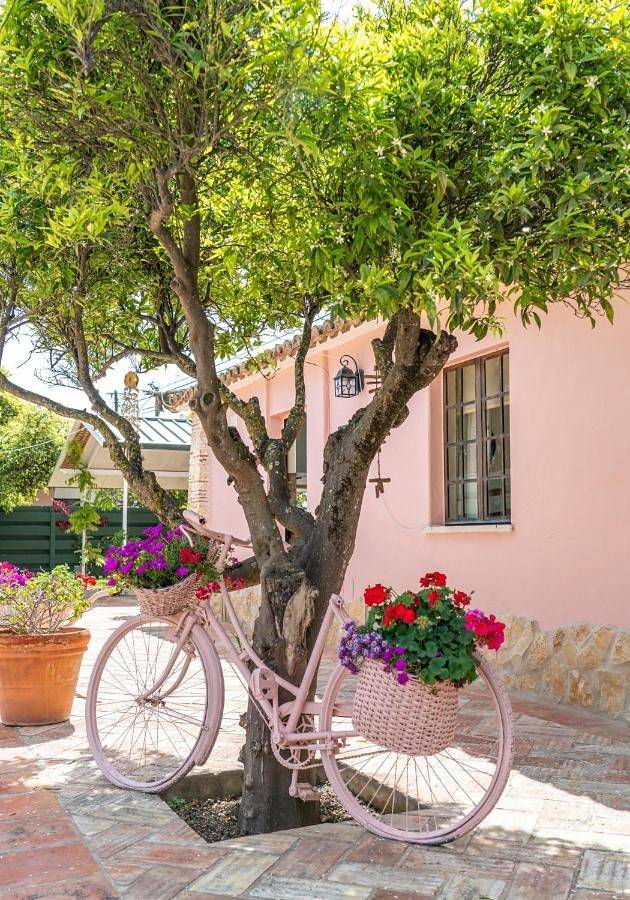 Maison d’hôte pour 2 personnes, avec Terrasse et Jardin à Lagoa