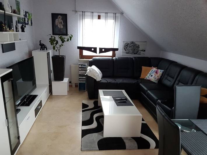 Ferienwohnung für 3 Personen, mit Garten im Spessart - 4