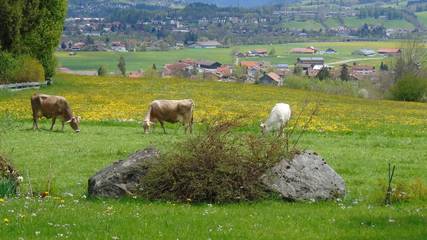 Hütte für 6 Personen in Ofterschwang, Hörnerdörfer, Bild 3