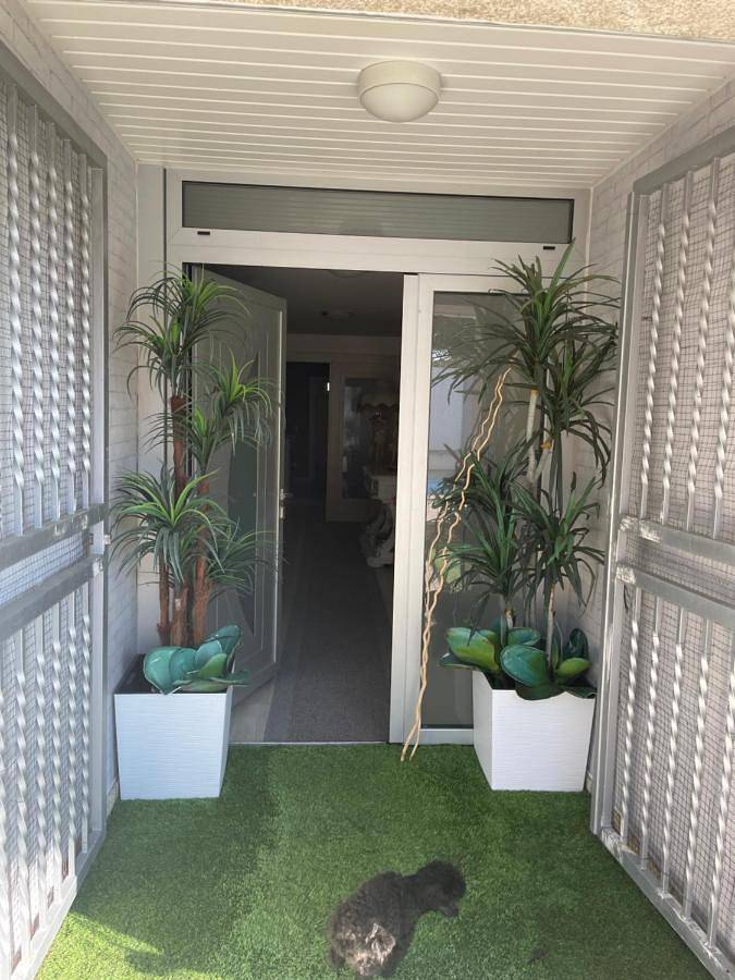 Gîte pour 6 personnes, avec terrasse et piscine à Valpaços - 3