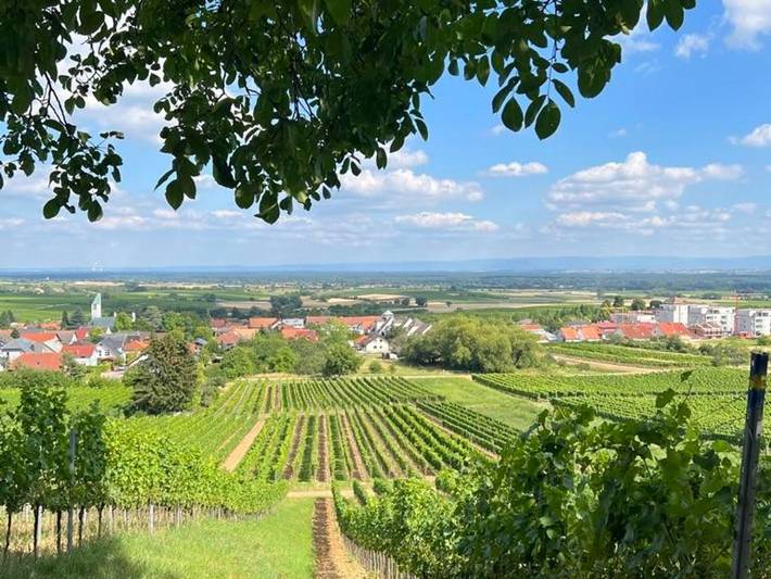 Ferienwohnung für 2 Personen, mit Balkon in Schweigen-Rechtenbach - 4