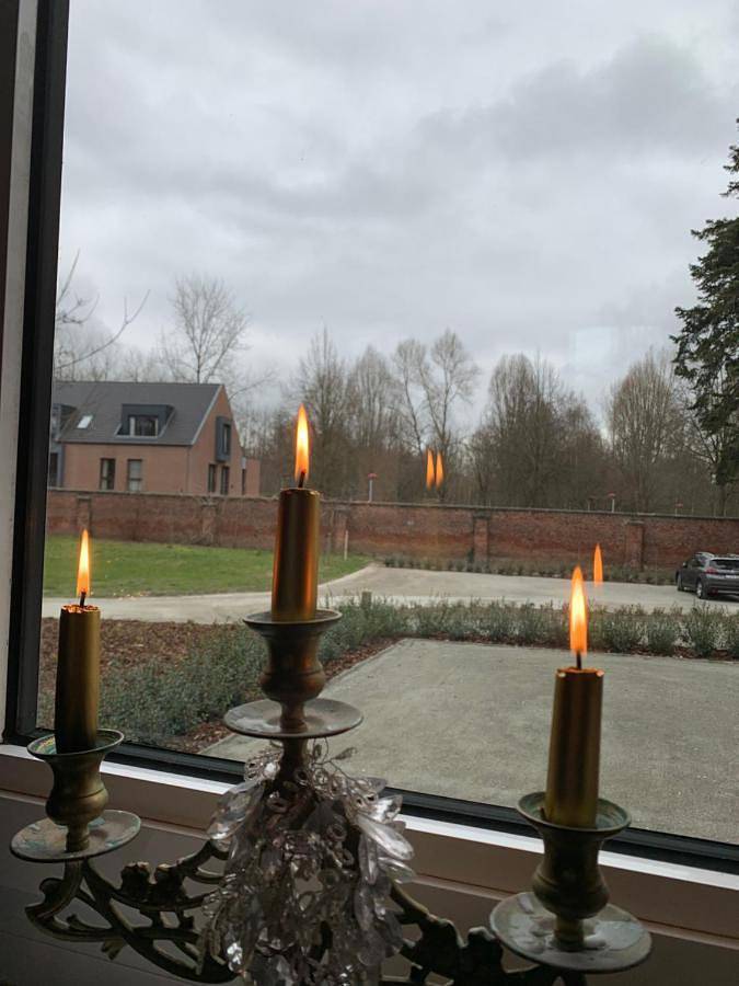 Hôtel pour 2 personnes, avec terrasse ainsi que jardin et vue, animaux acceptés à Bornem - 2