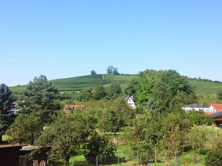 Haus am Kirchblick in Schliengen, Südschwarzwald